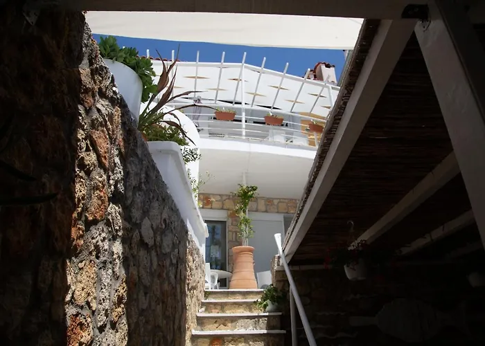 The Ocean House *