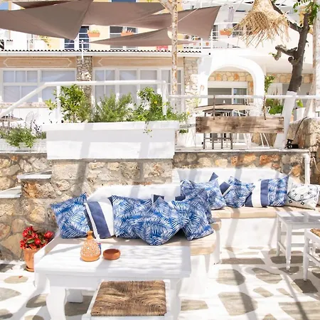 The Ocean House *