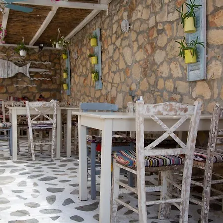 דירה The Ocean House
